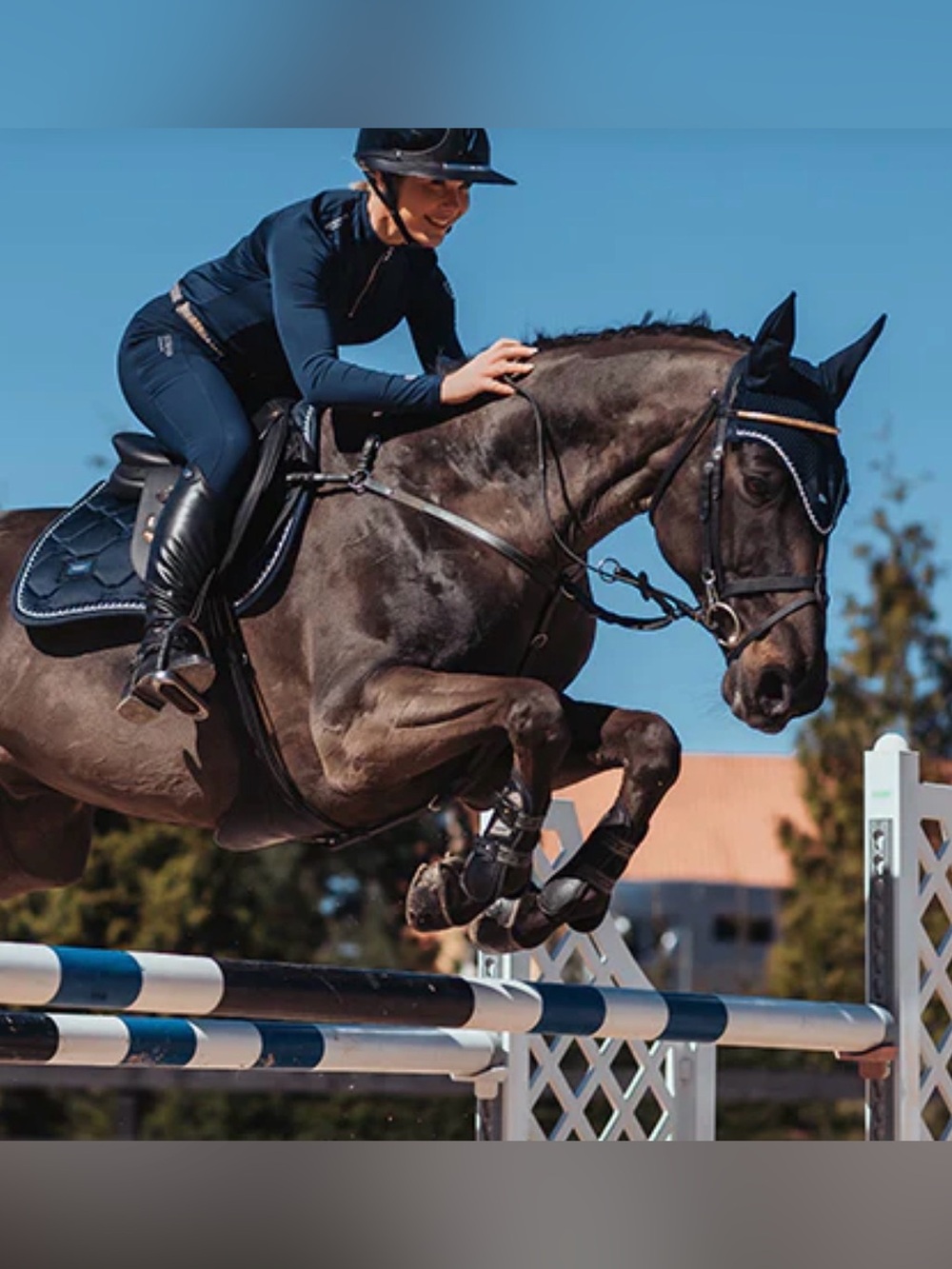 Equestrian Stockholm Midnight Blue Jump Saddle Pad - Full Size - Picture 3 of 13